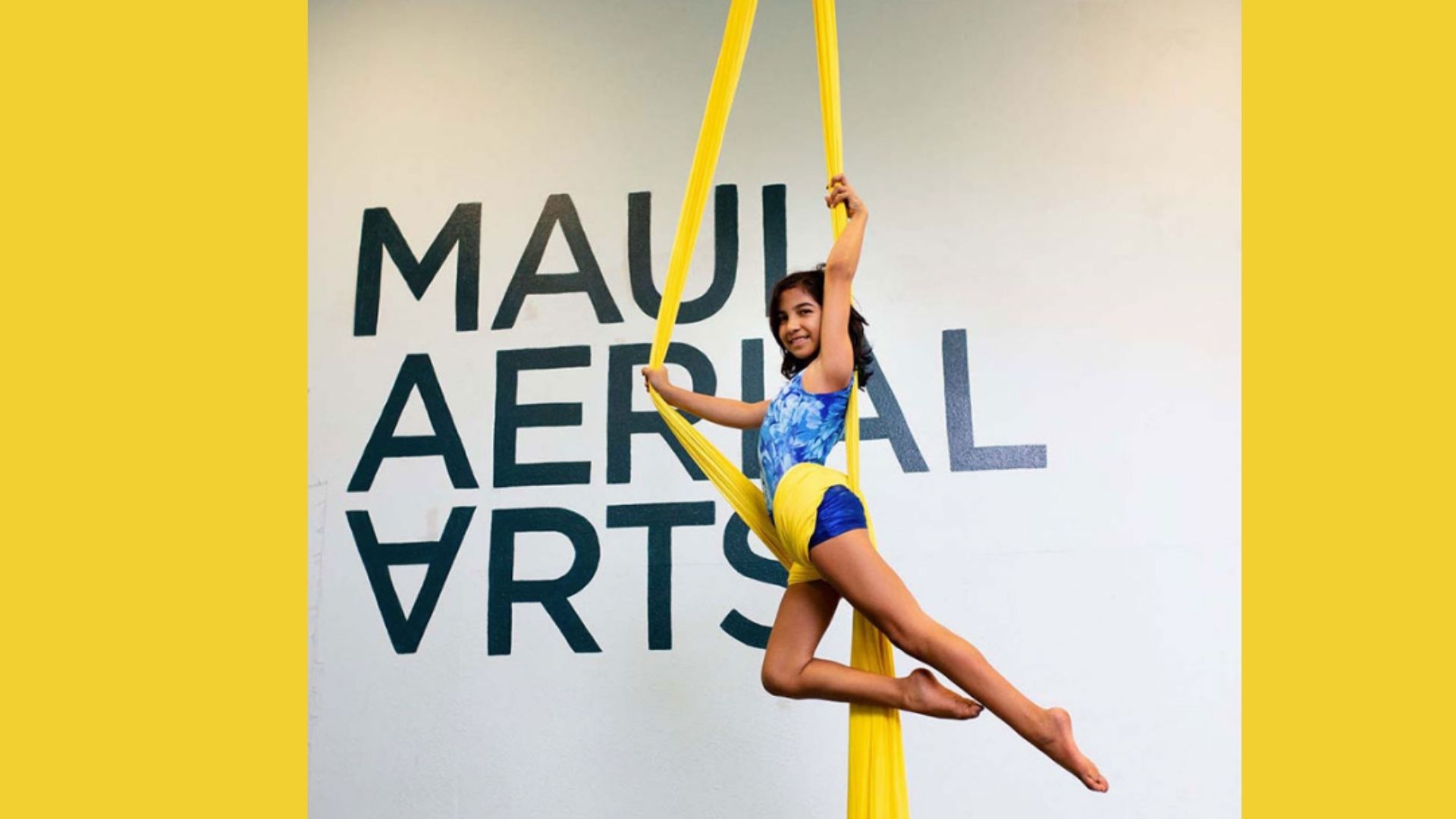 Aerial Silks image