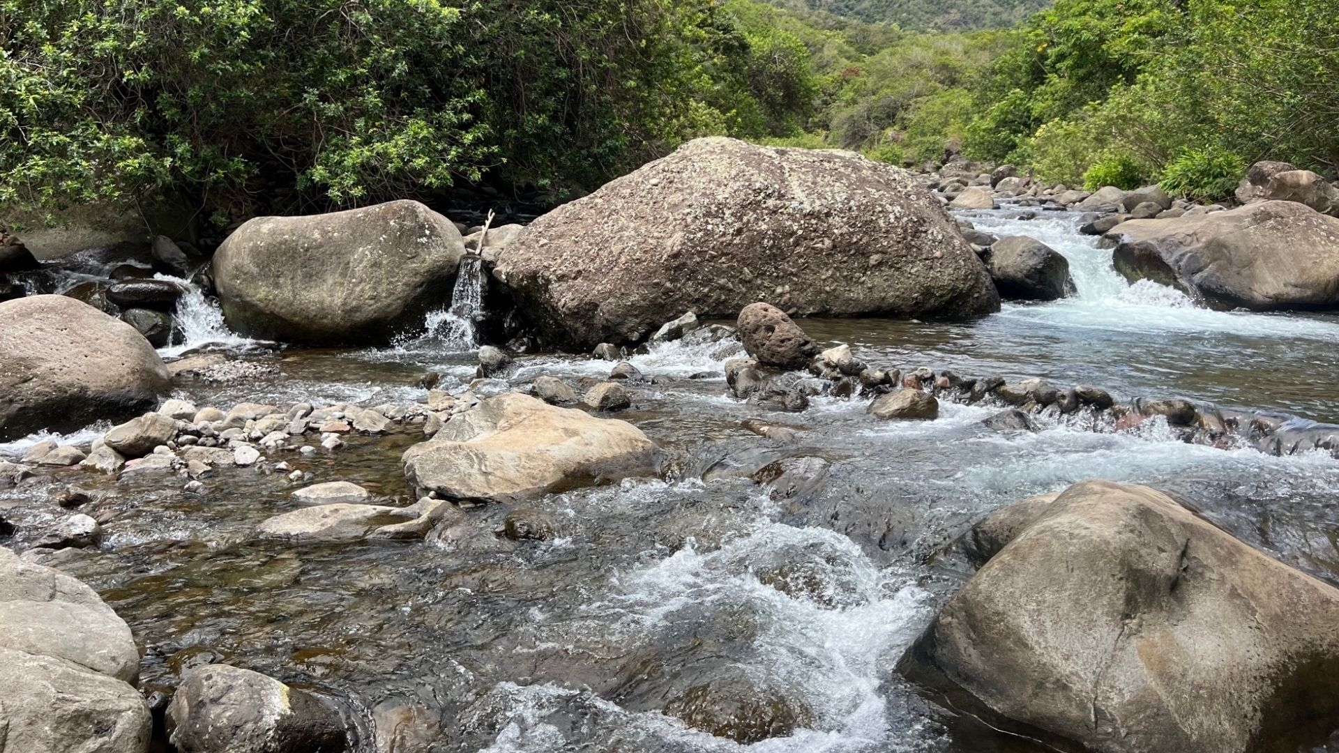 Stream Ecology and Excursions image