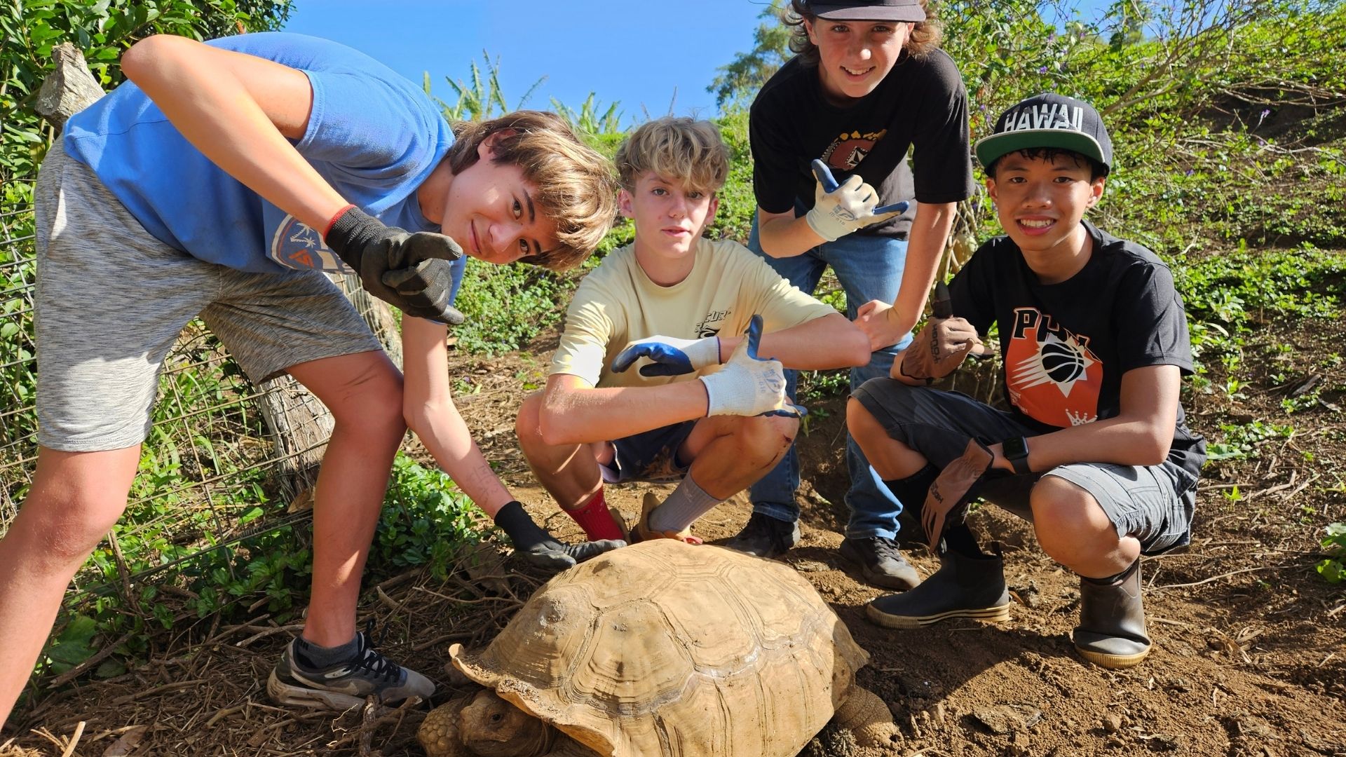 East Maui Critter Care image