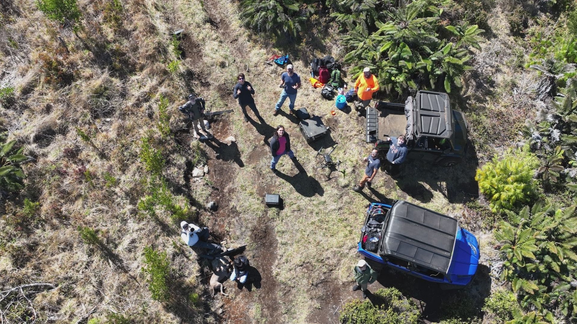 Drone Mapping & GIS image