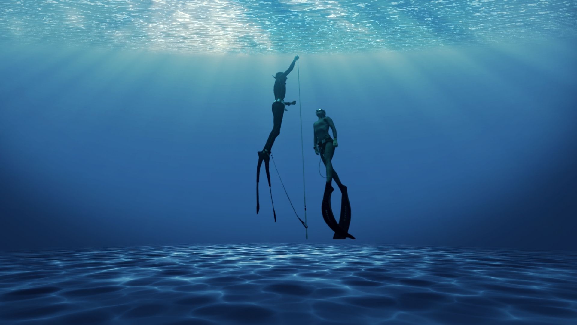 Free Diving image