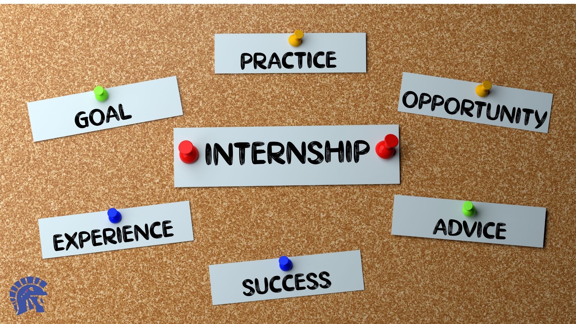 Internship Program  image