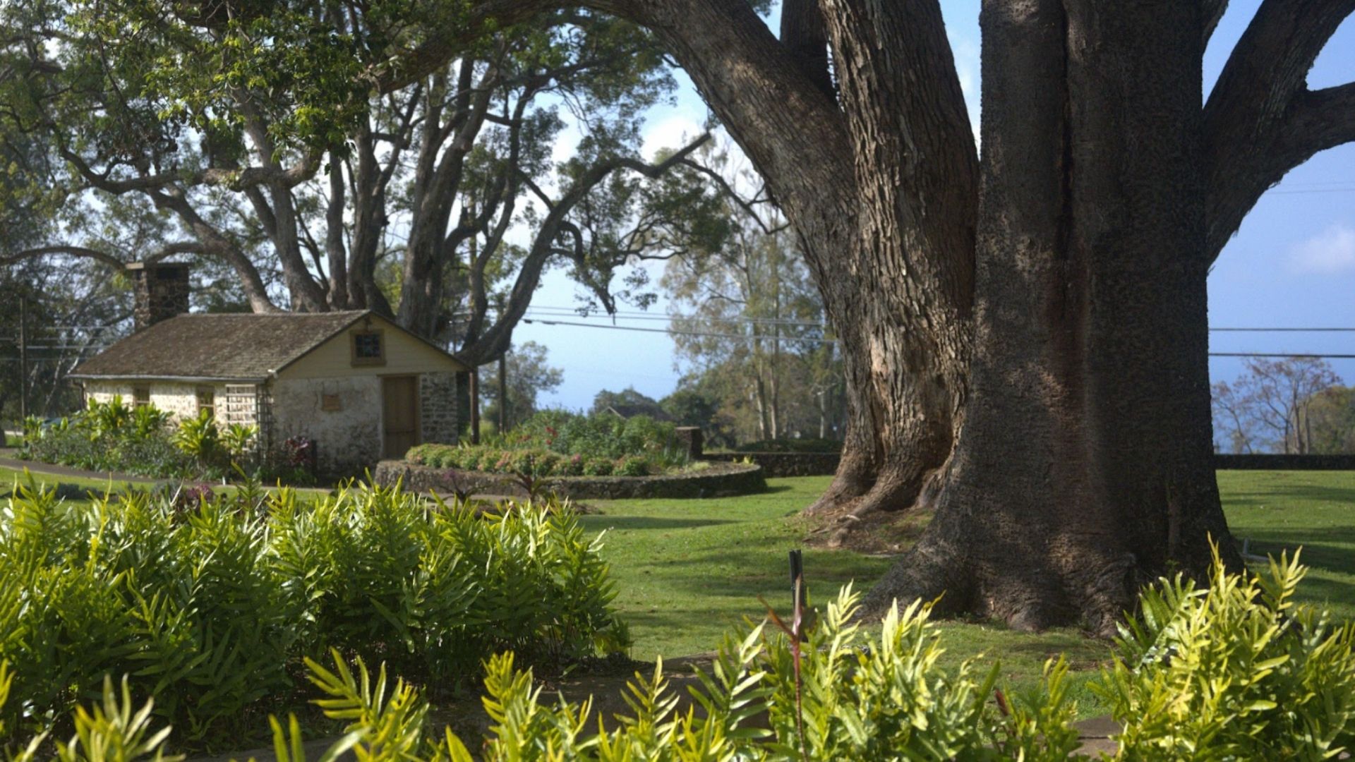 Photography on the Road image