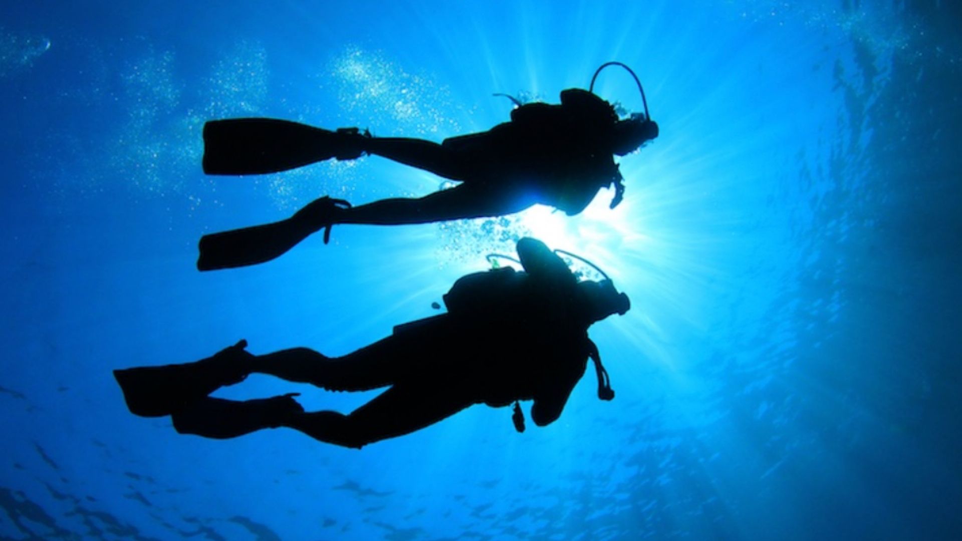 Beginner Open Water Scuba image