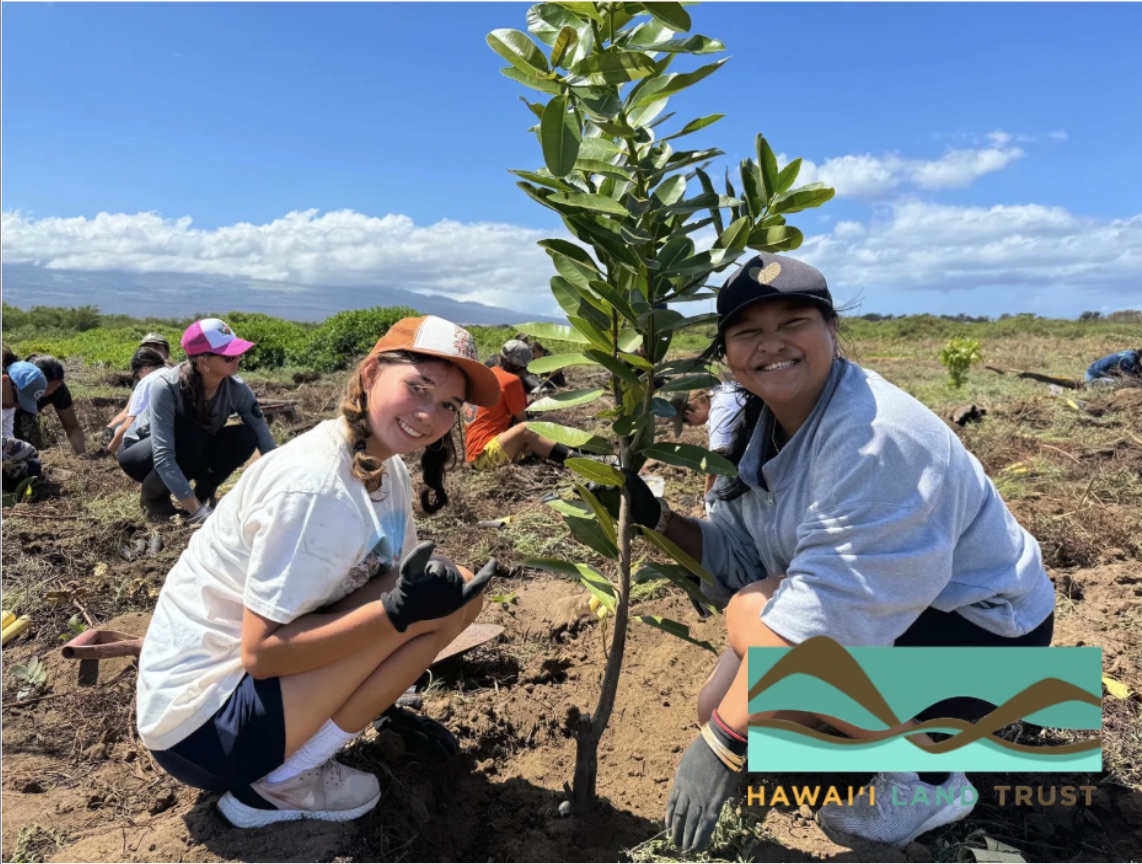 Waiheʻe Coastal Edu image